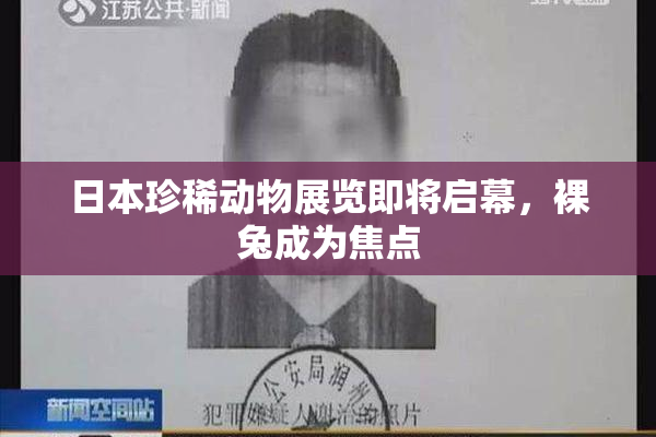日本珍稀动物展览即将启幕，裸兔成为焦点