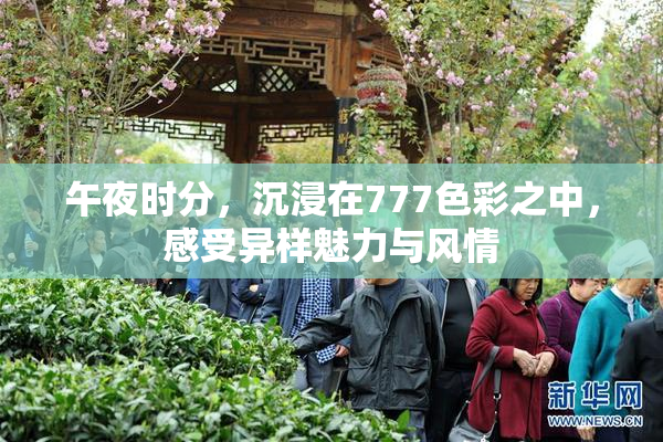 午夜时分，沉浸在777色彩之中，感受异样魅力与风情