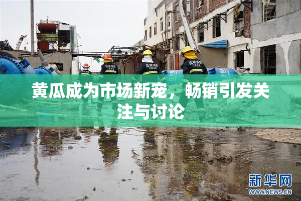 黄瓜成为市场新宠，畅销引发关注与讨论