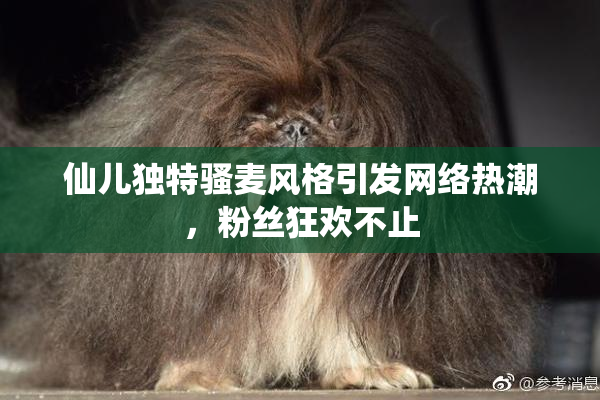 仙儿独特骚麦风格引发网络热潮，粉丝狂欢不止