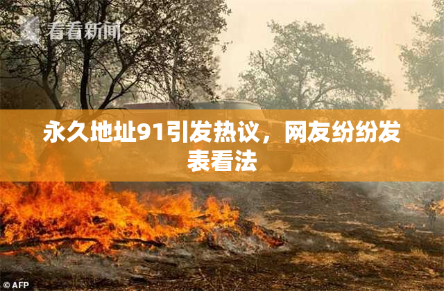 永久地址91引发热议，网友纷纷发表看法