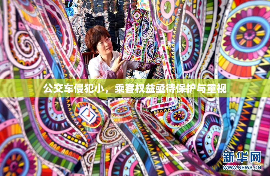 公交车侵犯小，乘客权益亟待保护与重视
