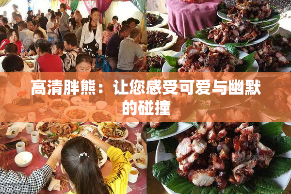 高清胖熊：让您感受可爱与幽默的碰撞