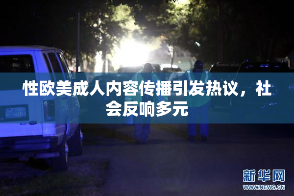 性欧美成人内容传播引发热议，社会反响多元