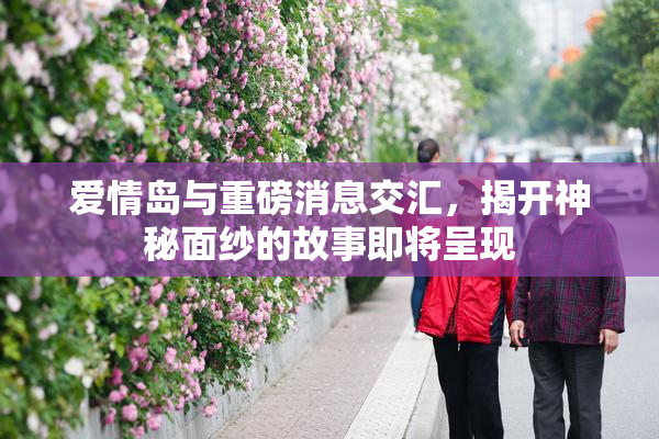 爱情岛与重磅消息交汇，揭开神秘面纱的故事即将呈现