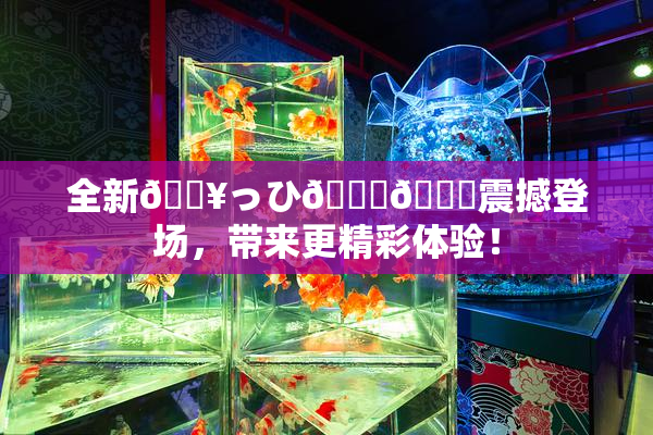 全新🔥っひ🍑🍑震撼登场，带来更精彩体验！