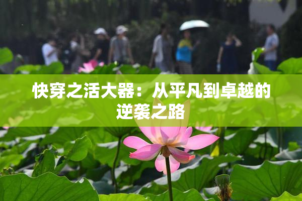快穿之活大器：从平凡到卓越的逆袭之路