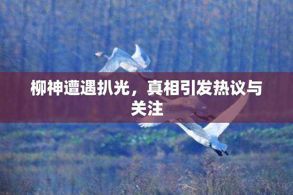 柳神遭遇扒光，真相引发热议与关注