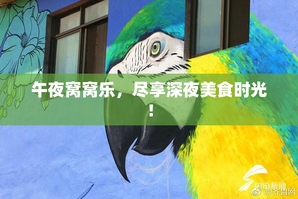 午夜窝窝乐，尽享深夜美食时光！