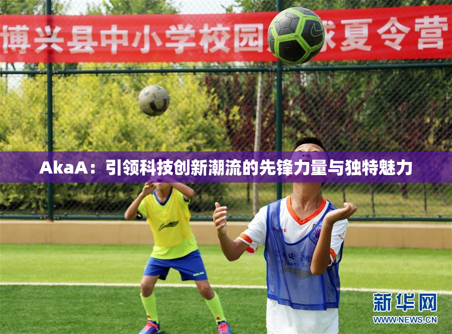 AkaA：引领科技创新潮流的先锋力量与独特魅力