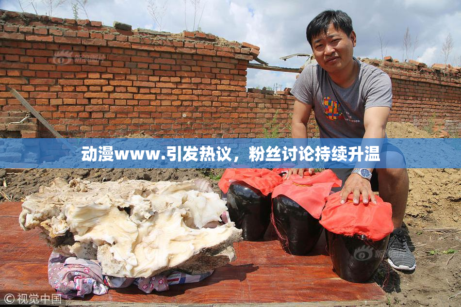 动漫www.引发热议，粉丝讨论持续升温