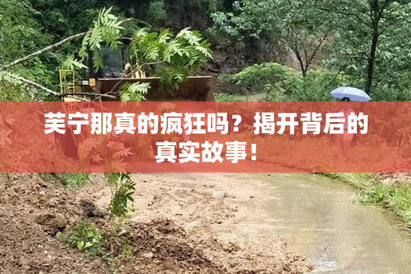 芙宁那真的疯狂吗？揭开背后的真实故事！