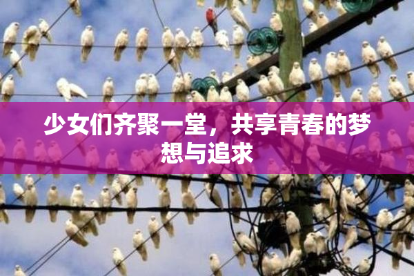 少女们齐聚一堂，共享青春的梦想与追求