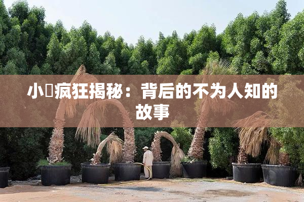 小泬疯狂揭秘：背后的不为人知的故事