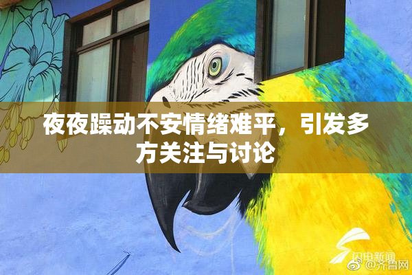 夜夜躁动不安情绪难平，引发多方关注与讨论
