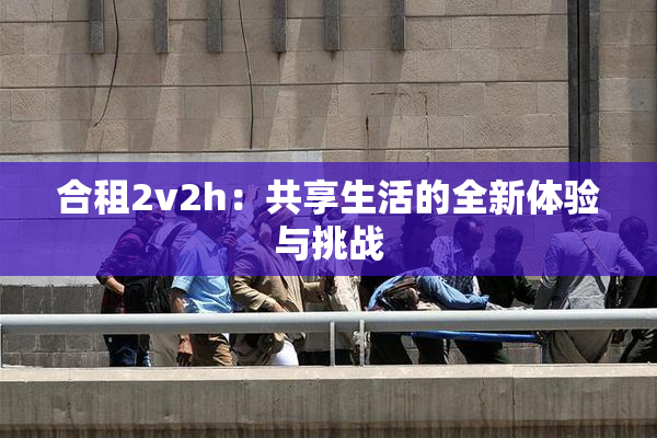 合租2v2h：共享生活的全新体验与挑战