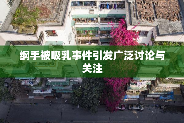纲手被吸乳事件引发广泛讨论与关注