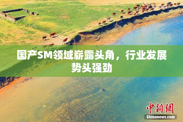 国产SM领域崭露头角，行业发展势头强劲
