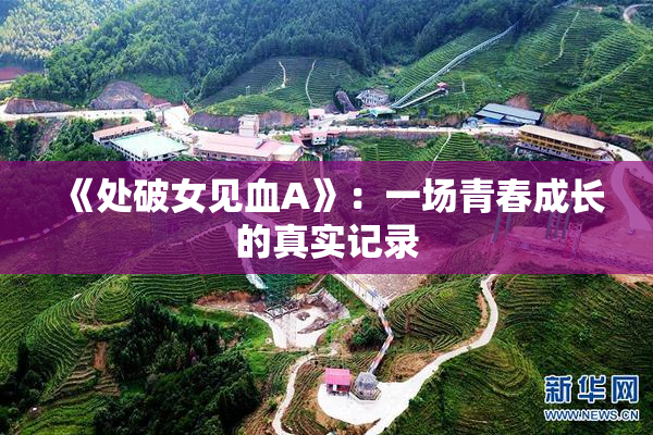 《处破女见血A》：一场青春成长的真实记录