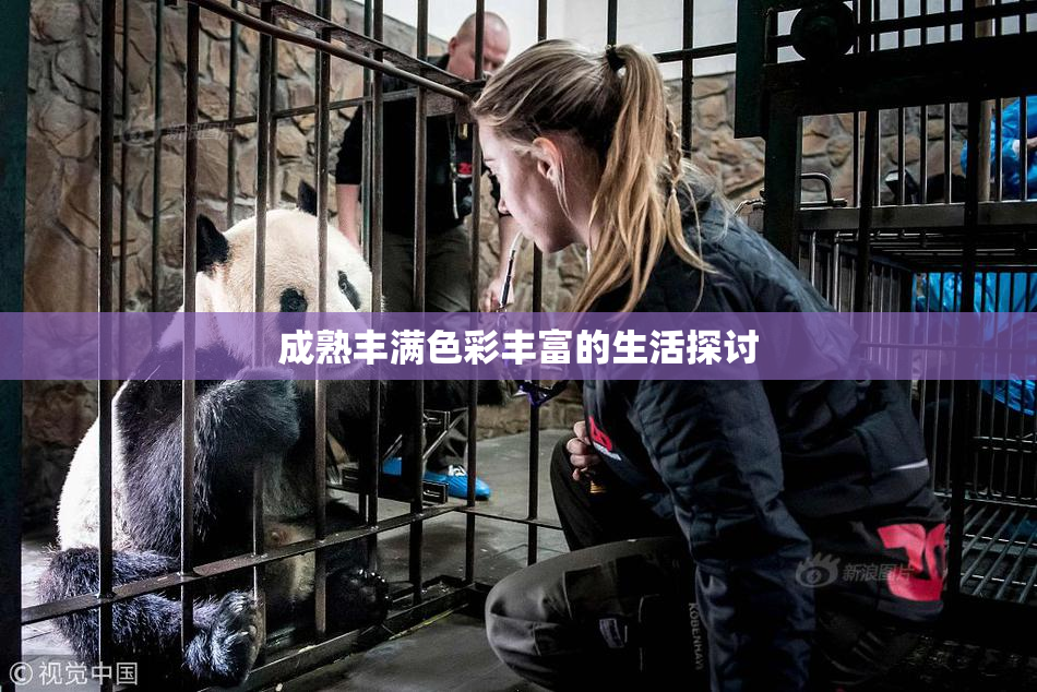 成熟丰满色彩丰富的生活探讨