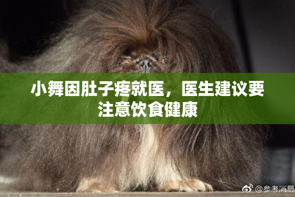 小舞因肚子疼就医，医生建议要注意饮食健康