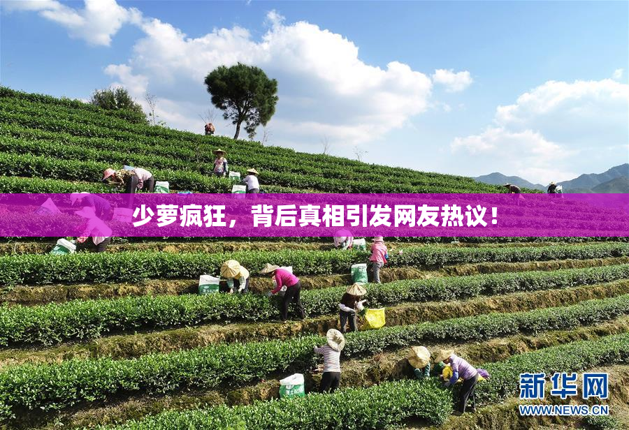少萝疯狂，背后真相引发网友热议！