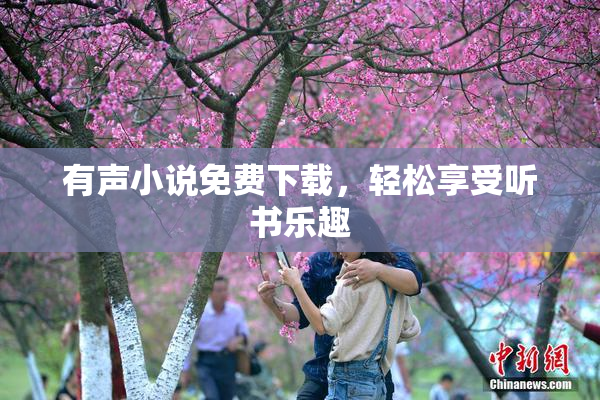 有声小说免费下载，轻松享受听书乐趣