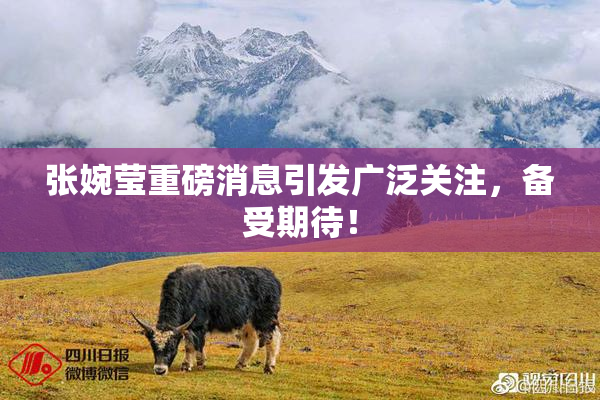 张婉莹重磅消息引发广泛关注，备受期待！