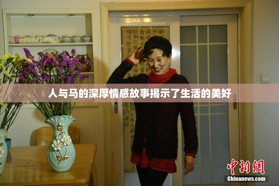 人与马的深厚情感故事揭示了生活的美好