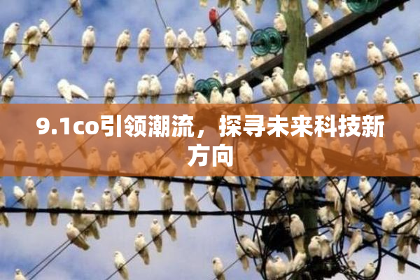 9.1co引领潮流，探寻未来科技新方向