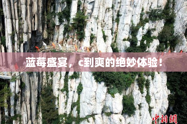 蓝莓盛宴，c到爽的绝妙体验！