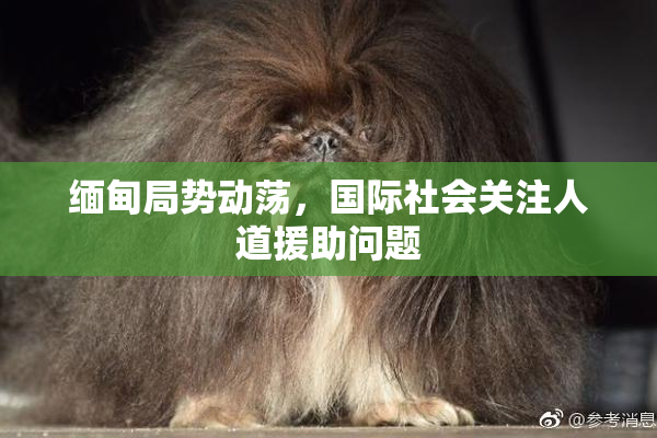 缅甸局势动荡，国际社会关注人道援助问题