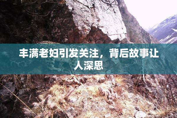 丰满老妇引发关注，背后故事让人深思