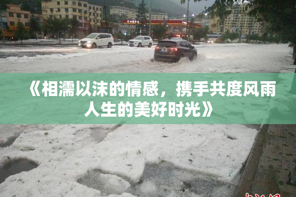 《相濡以沫的情感，携手共度风雨人生的美好时光》