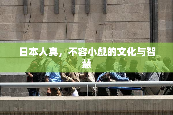 日本人真，不容小觑的文化与智慧