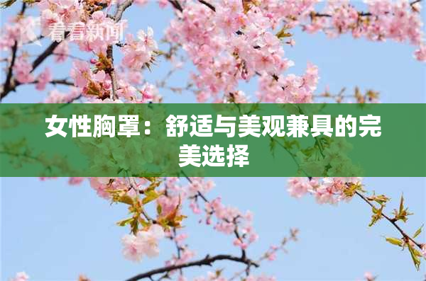 女性胸罩：舒适与美观兼具的完美选择