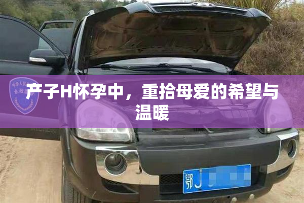 产子H怀孕中，重拾母爱的希望与温暖
