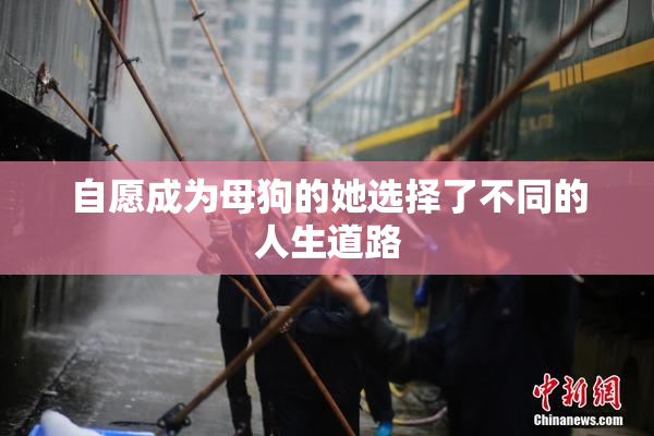自愿成为母狗的她选择了不同的人生道路