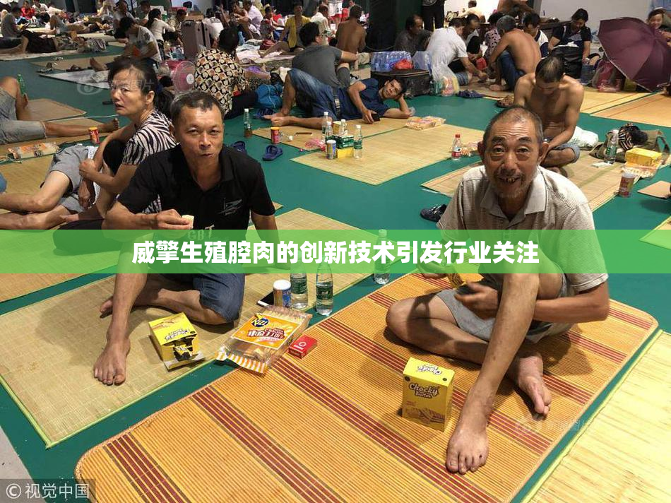 威擎生殖腔肉的创新技术引发行业关注
