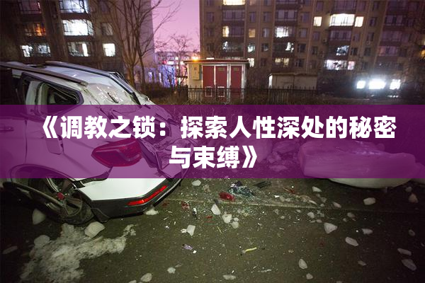 《调教之锁：探索人性深处的秘密与束缚》