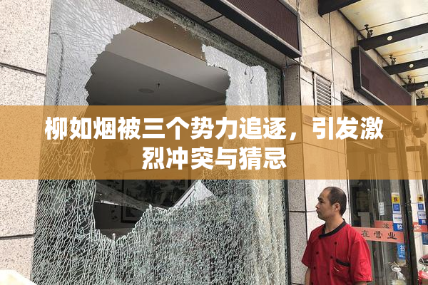 柳如烟被三个势力追逐，引发激烈冲突与猜忌
