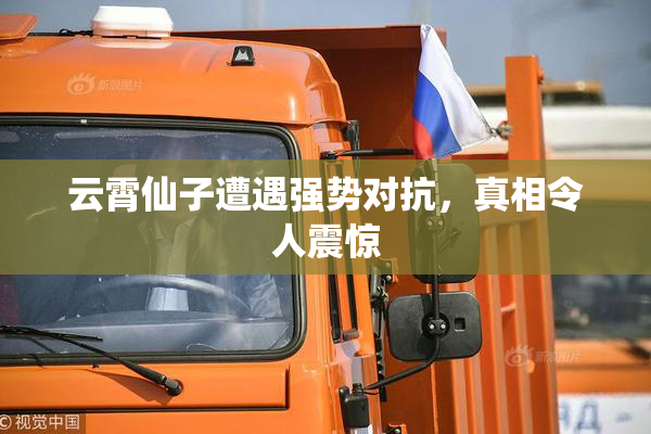 云霄仙子遭遇强势对抗，真相令人震惊