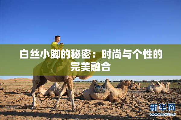 白丝小脚的秘密：时尚与个性的完美融合