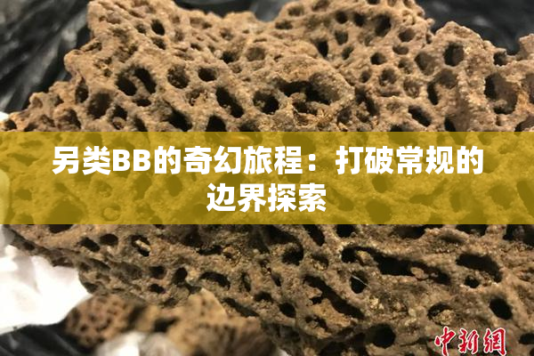 另类BB的奇幻旅程：打破常规的边界探索
