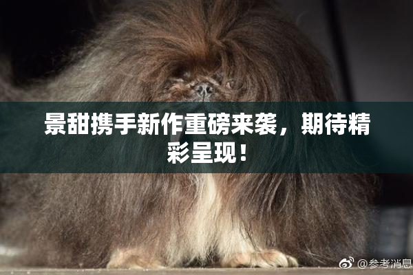 景甜携手新作重磅来袭，期待精彩呈现！