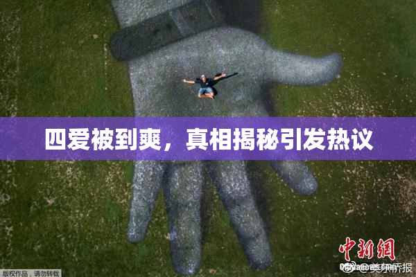 四爱被到爽，真相揭秘引发热议