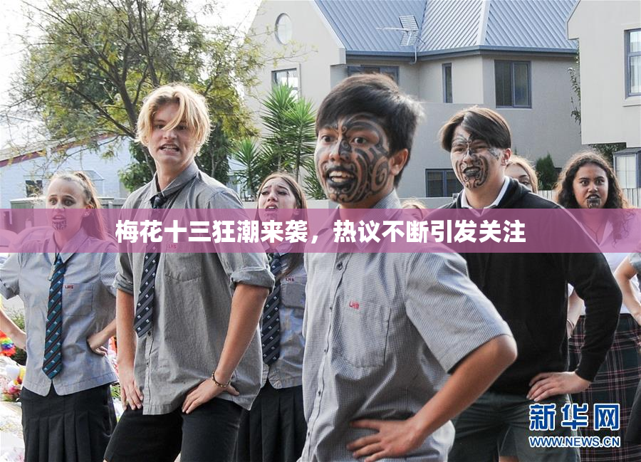 梅花十三狂潮来袭，热议不断引发关注