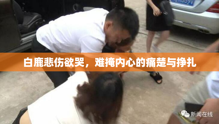 白鹿悲伤欲哭，难掩内心的痛楚与挣扎
