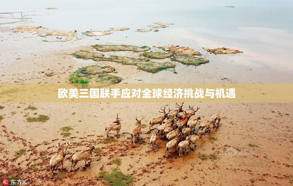 欧美三国联手应对全球经济挑战与机遇