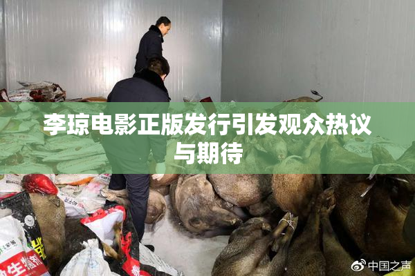 李琼电影正版发行引发观众热议与期待